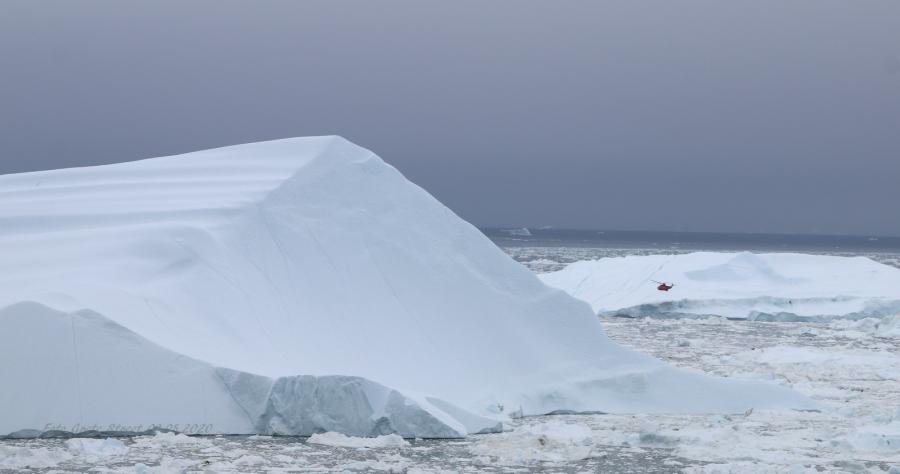 Så du S-61 helikopteren? Ilulissat, 9. august 2020