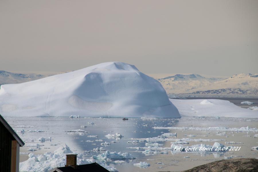 Isfjeldene begynder at komme ud igen, bådene tager ud i dejligt vejr. Ilulissat, 29. april 2021