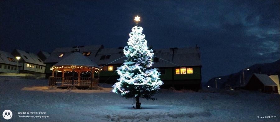 Byens juletræ. Qasigiannguit, 30. november 2021