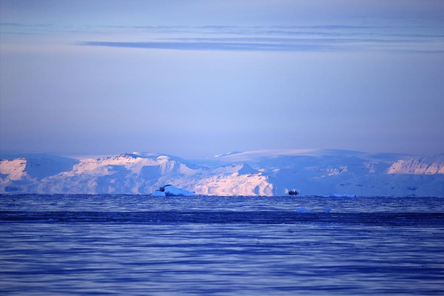 Qeqertarsuup tungaa puikkarsimsoq