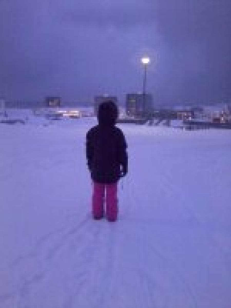 Malena ukiorsiortoq jan 2014
