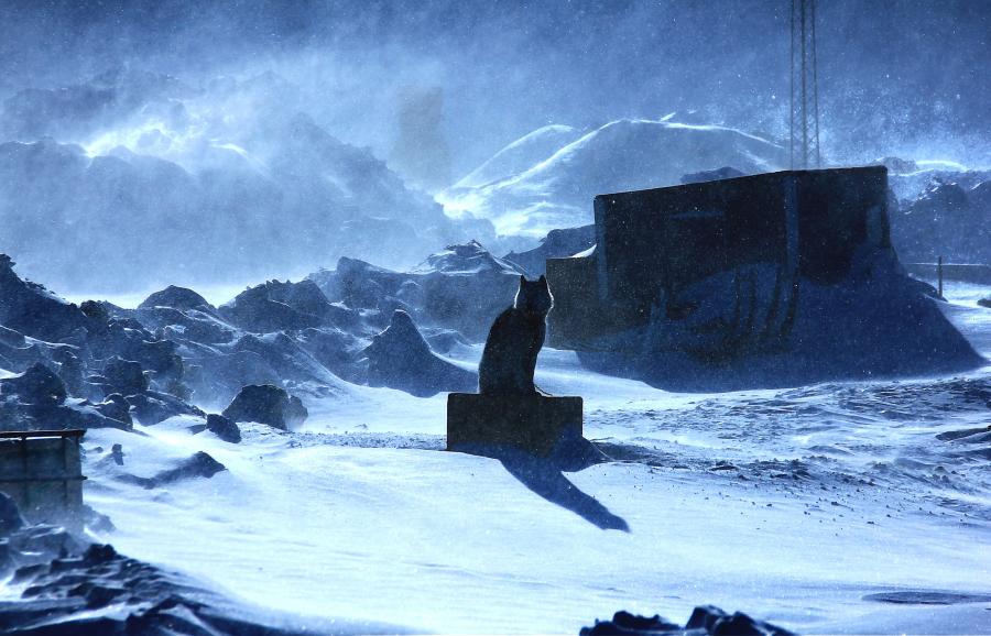 Snefygning og solskin. Ilulissat, 23. marts 2015
