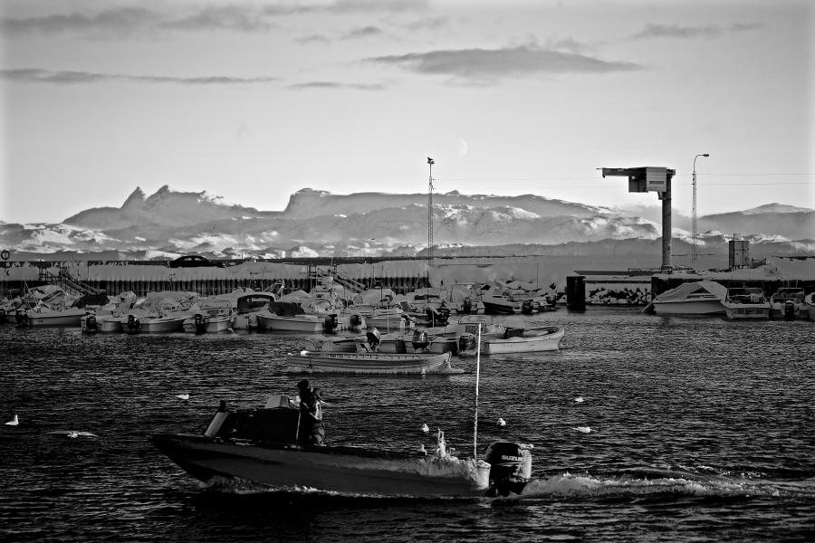 Maniitsumi aalisartoq tulalersoq