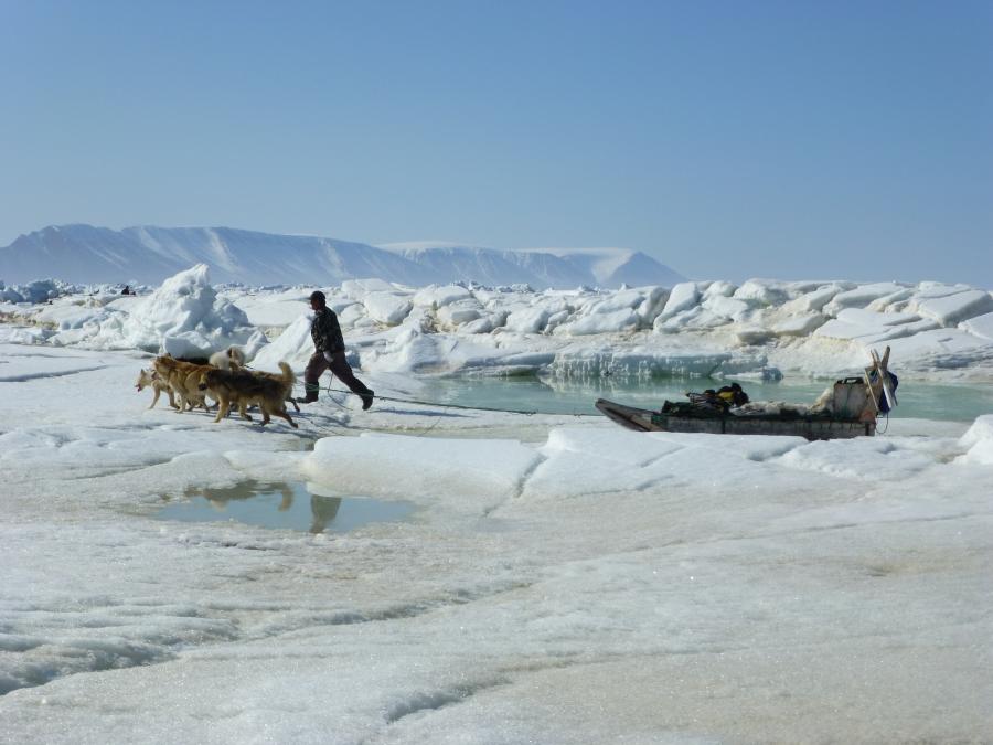 Dogsledge in Qaanaaq