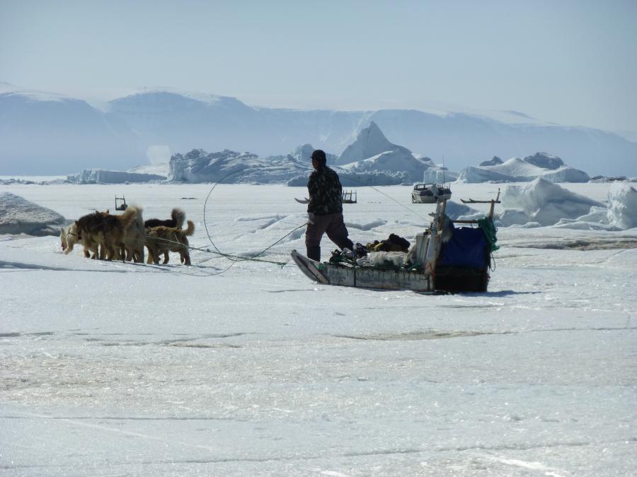 Hundeslæder i Qaanaaq