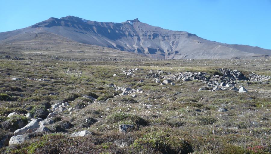 Qilertinnguit