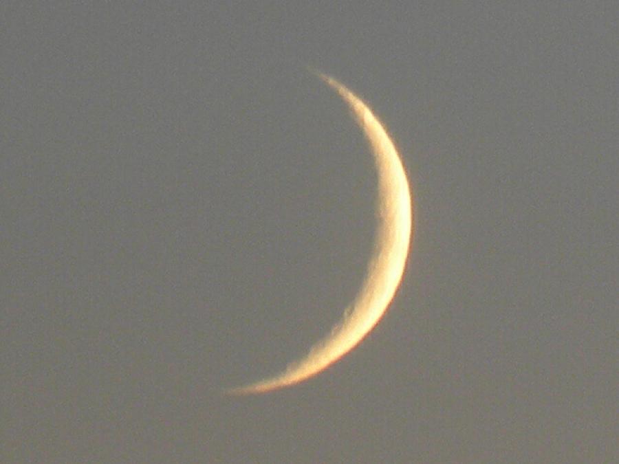 qaammat