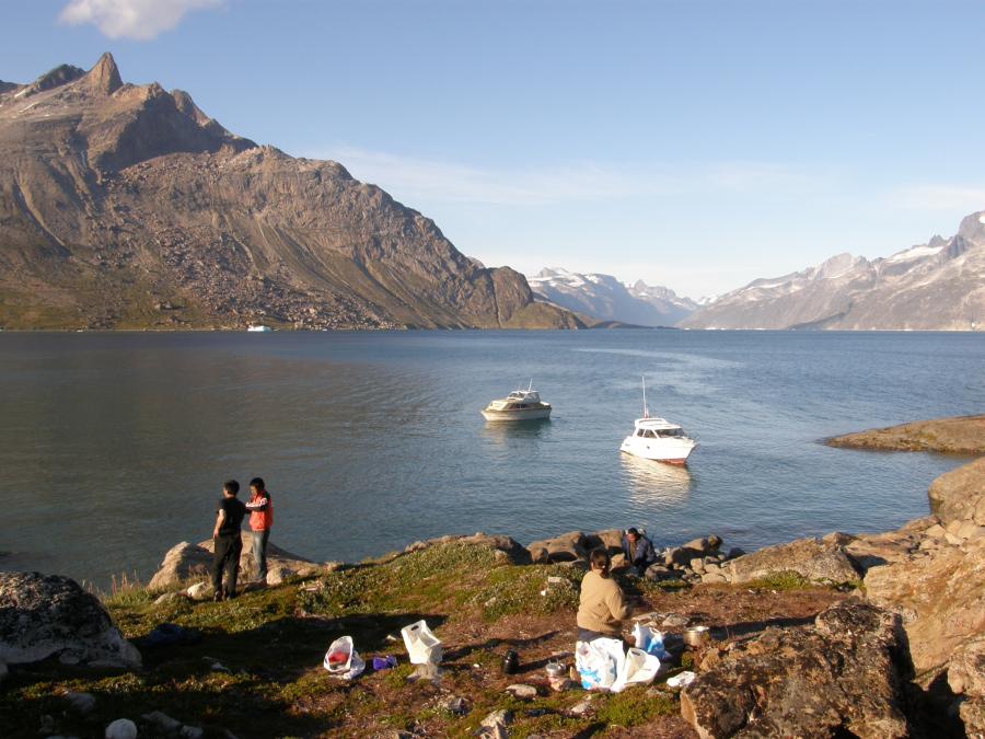 Asimi igasut 2008