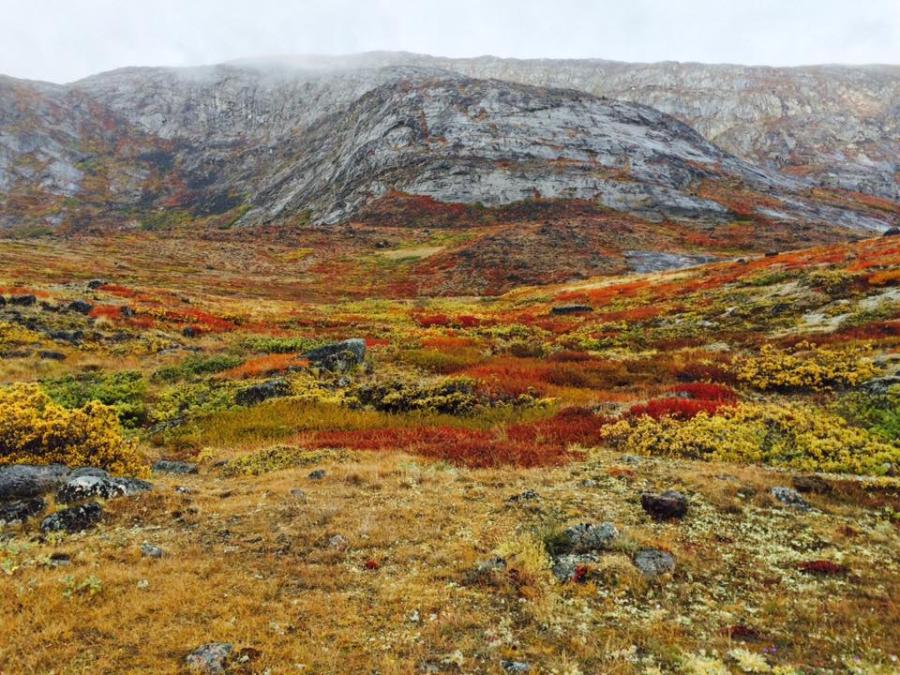 Illuaqqatsinniit isikkivik ukialeqaaq. Qeqertalik, Sisimiut, september 2021