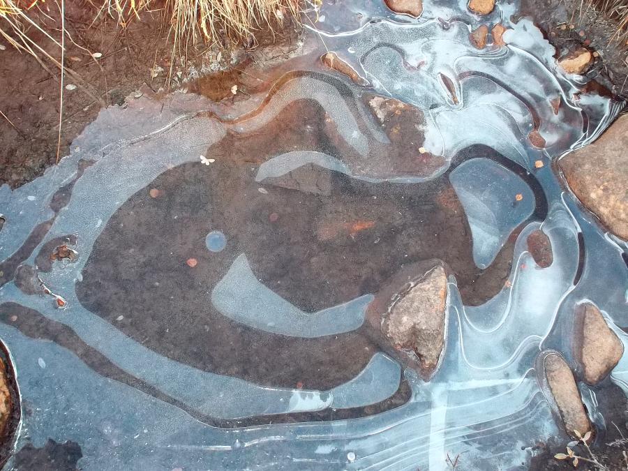 tasiaraq qerisimasoq aalisagangasumik