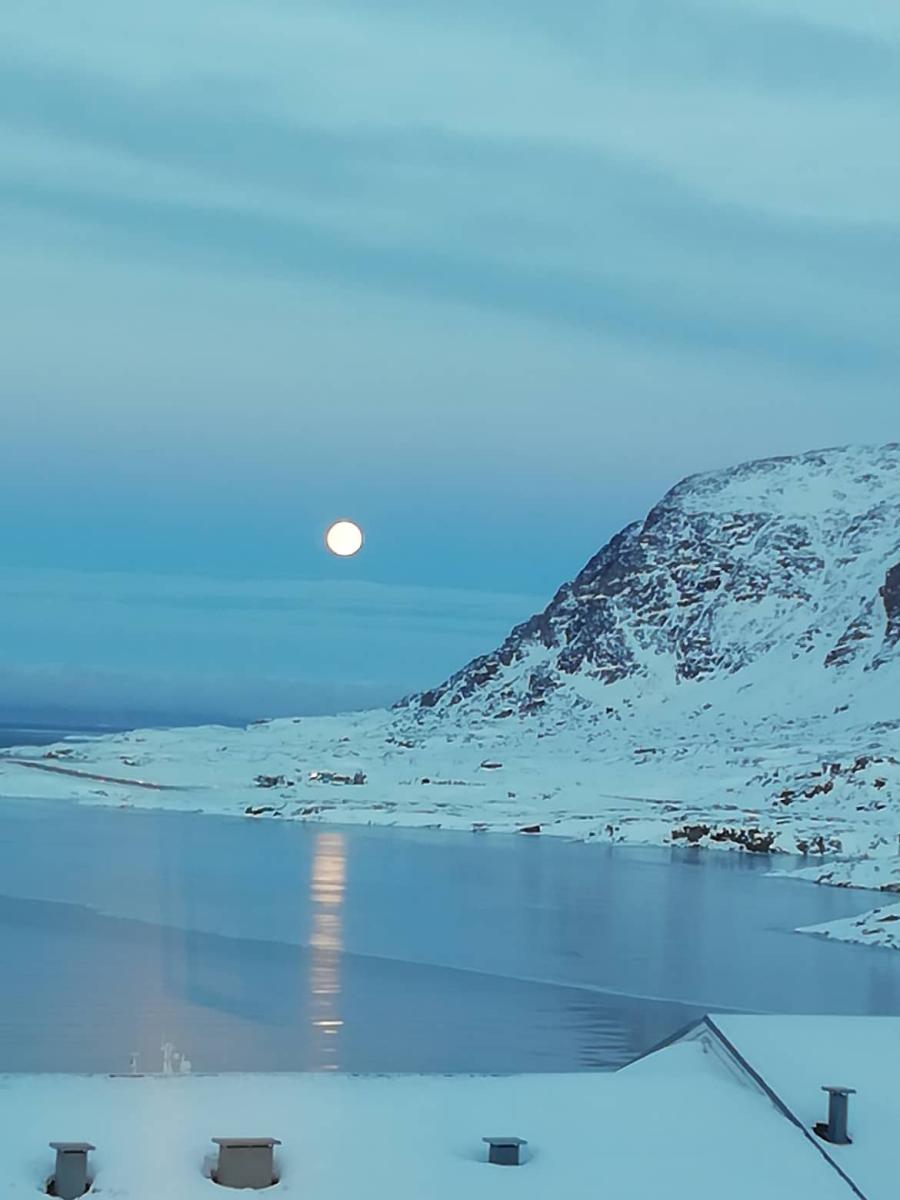 Ullaakkut suliartorlunga qaammat 19 02 2019